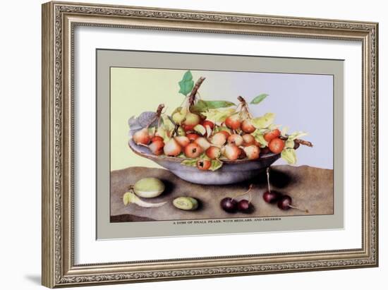 Dish of Small Pears with Medlars and Cherries-Giovanna Garzoni-Framed Art Print