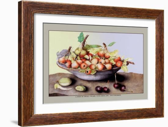 Dish of Small Pears with Medlars and Cherries-Giovanna Garzoni-Framed Art Print