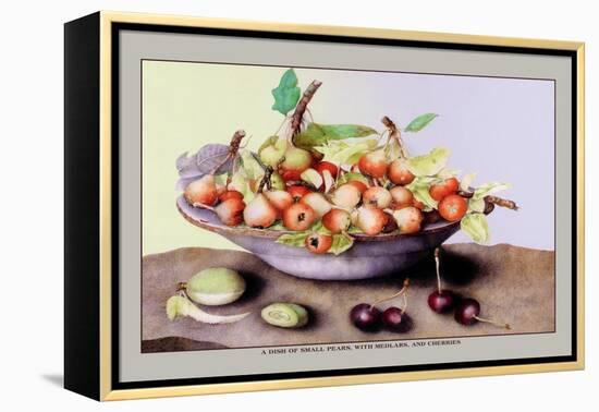 Dish of Small Pears with Medlars and Cherries-Giovanna Garzoni-Framed Stretched Canvas