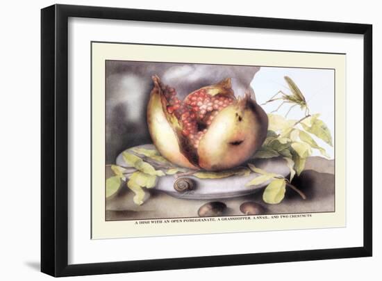 Dish with a Pomegranate, A Grasshopper, A Snail, and Two Chestnuts-Giovanna Garzoni-Framed Art Print