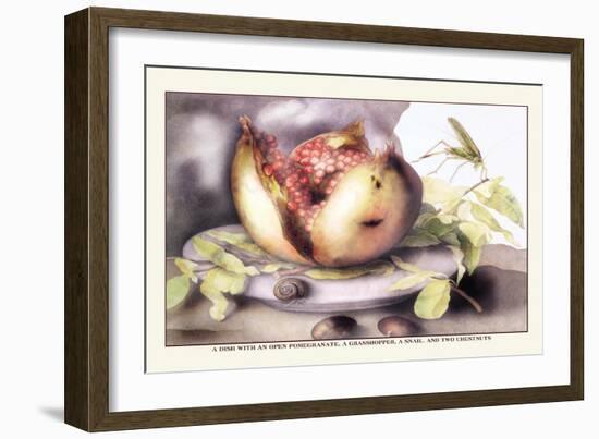 Dish with a Pomegranate, A Grasshopper, A Snail, and Two Chestnuts-Giovanna Garzoni-Framed Art Print