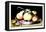 Dish with Apples and Almonds-Giovanna Garzoni-Framed Stretched Canvas
