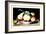 Dish with Apples and Almonds-Giovanna Garzoni-Framed Art Print