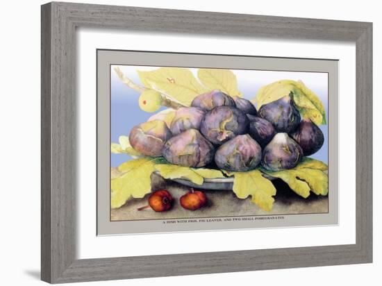 Dish with Figs, Fig Leaves and Small Pomegranates-Giovanna Garzoni-Framed Art Print