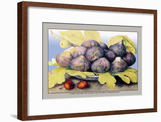 Dish with Figs, Fig Leaves and Small Pomegranates-Giovanna Garzoni-Framed Art Print