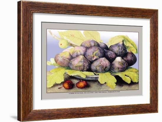 Dish with Figs, Fig Leaves and Small Pomegranates-Giovanna Garzoni-Framed Art Print