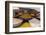 Dishes of Spices for Sale in a Street Market in the City of Udaipur, Rajasthan, India, Asia-Martin Child-Framed Photographic Print