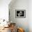 Disheveled Daisies-Sandra Willard-Framed Giclee Print displayed on a wall