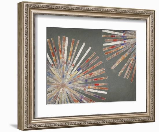 Disk II Warm Version-Edward Selkirk-Framed Art Print