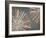 Disk II Warm Version-Edward Selkirk-Framed Art Print