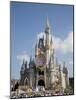 Disney World, Orlando, Florida, USA-Angelo Cavalli-Mounted Photographic Print