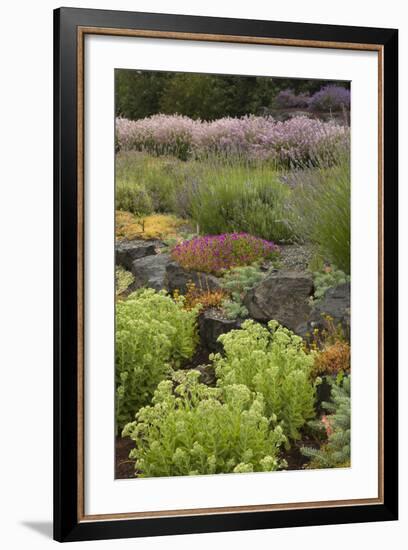 Display Garden at Lavender Festival, Sequim, Washington, USA-Merrill Images-Framed Photographic Print