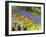 Display garden in full bloom-Terry Eggers-Framed Photographic Print