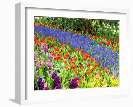 Display garden in full bloom-Terry Eggers-Framed Photographic Print