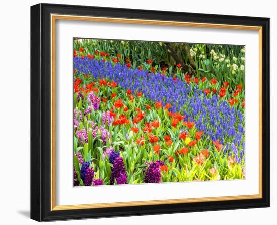 Display garden in full bloom-Terry Eggers-Framed Photographic Print