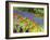 Display garden in full bloom-Terry Eggers-Framed Photographic Print