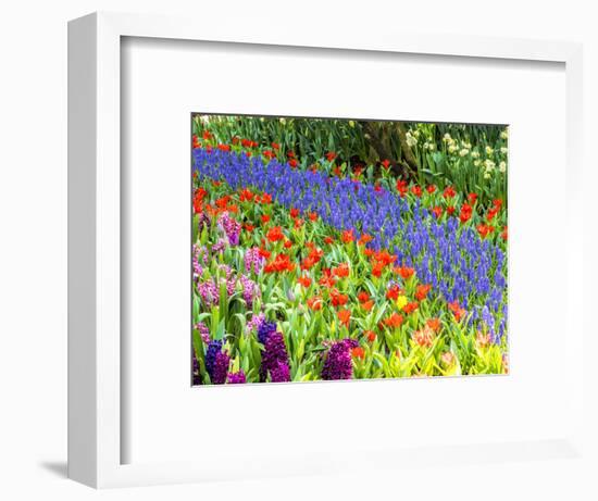 Display garden in full bloom-Terry Eggers-Framed Photographic Print