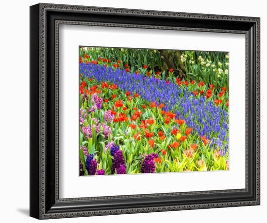 Display garden in full bloom-Terry Eggers-Framed Photographic Print