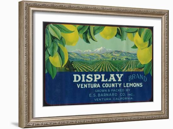 Display Lemon Label - Ventura, CA-Lantern Press-Framed Art Print