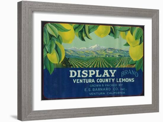 Display Lemon Label - Ventura, CA-Lantern Press-Framed Art Print