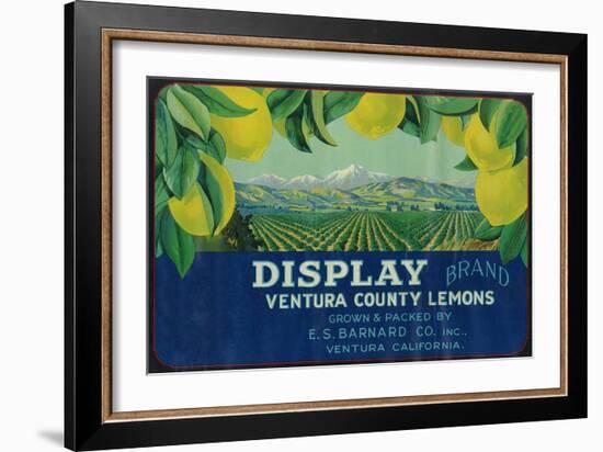 Display Lemon Label - Ventura, CA-Lantern Press-Framed Art Print