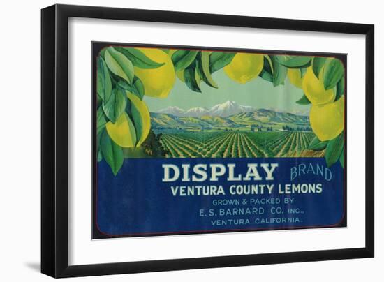 Display Lemon Label - Ventura, CA-Lantern Press-Framed Art Print