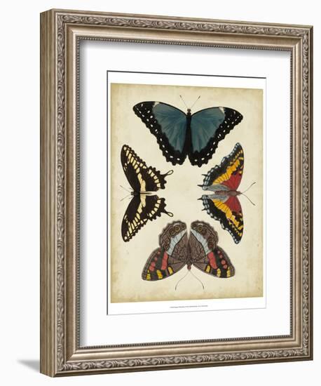 Display of Butterflies I-Vision Studio-Framed Art Print