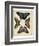 Display of Butterflies I-Vision Studio-Framed Art Print