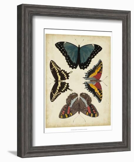 Display of Butterflies I-Vision Studio-Framed Art Print