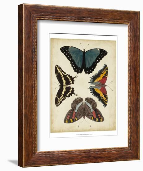 Display of Butterflies I-Vision Studio-Framed Art Print