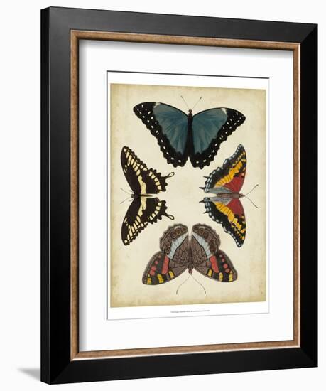 Display of Butterflies I-Vision Studio-Framed Art Print