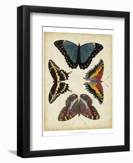 Display of Butterflies I-Vision Studio-Framed Art Print