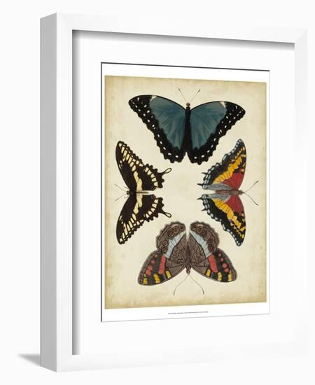 Display of Butterflies I-Vision Studio-Framed Art Print