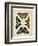 Display of Butterflies II-Vision Studio-Framed Art Print