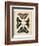 Display of Butterflies II-Vision Studio-Framed Art Print