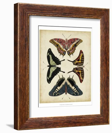 Display of Butterflies II-Vision Studio-Framed Art Print
