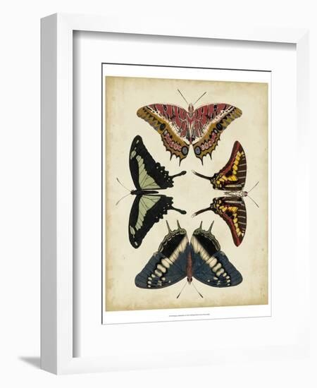 Display of Butterflies II-Vision Studio-Framed Art Print