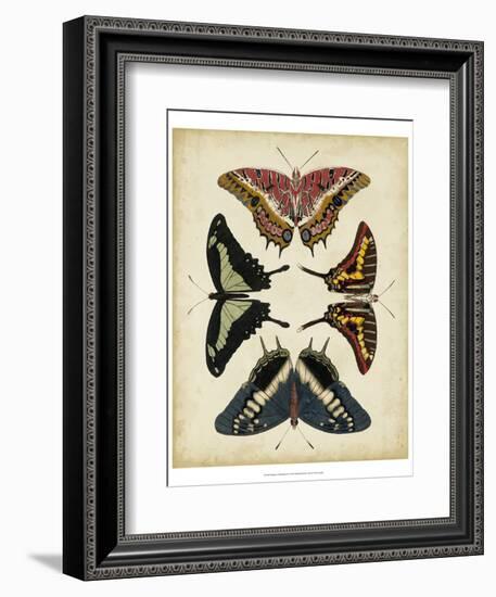 Display of Butterflies II-Vision Studio-Framed Art Print