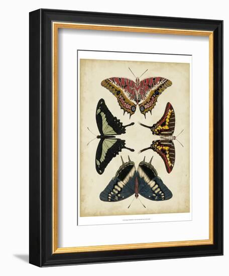 Display of Butterflies II-Vision Studio-Framed Art Print