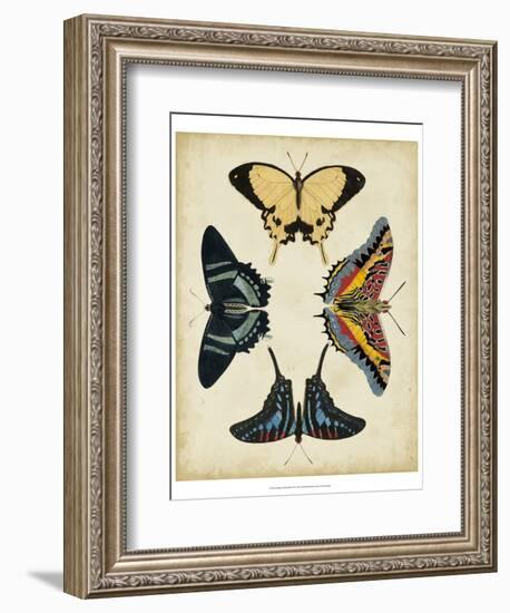 Display of Butterflies III-Vision Studio-Framed Art Print