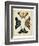 Display of Butterflies III-Vision Studio-Framed Art Print