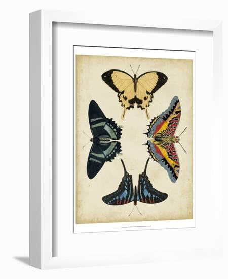 Display of Butterflies III-Vision Studio-Framed Art Print