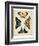 Display of Butterflies III-Vision Studio-Framed Art Print