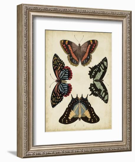 Display of Butterflies IV-Vision Studio-Framed Art Print