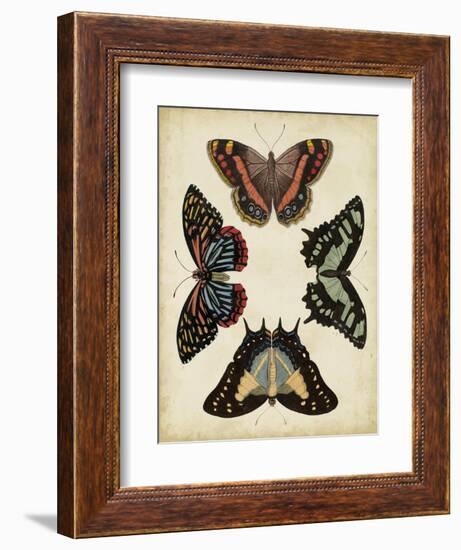 Display of Butterflies IV-Vision Studio-Framed Art Print