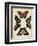 Display of Butterflies IV-Vision Studio-Framed Art Print