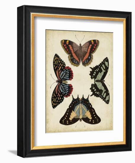 Display of Butterflies IV-Vision Studio-Framed Art Print