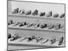 Display of Ferragamo Shoes-Alfred Eisenstaedt-Mounted Photographic Print