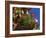 Display of Flags to Mark Swiss National Day, Lauterbrunnen, Bern, Swizerland, Europe-Tomlinson Ruth-Framed Photographic Print