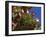 Display of Flags to Mark Swiss National Day, Lauterbrunnen, Bern, Swizerland, Europe-Tomlinson Ruth-Framed Photographic Print